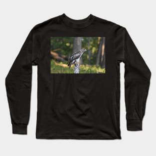 Hawk Long Sleeve T-Shirt